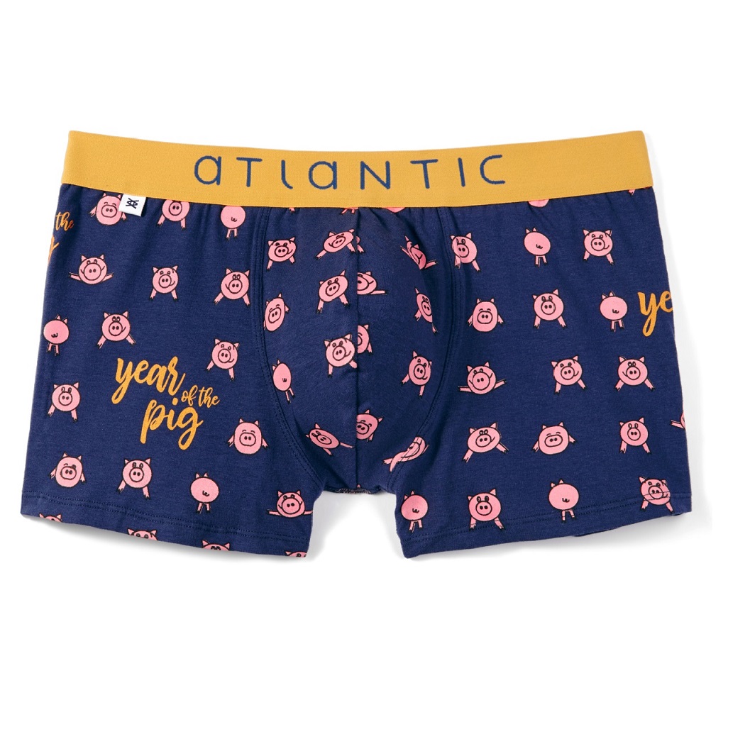 SZORTY ATLANTIC MH-1054 JZ18 GRA /XXL