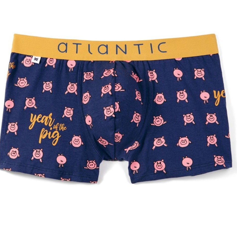 SZORTY ATLANTIC MH-1054 GRA